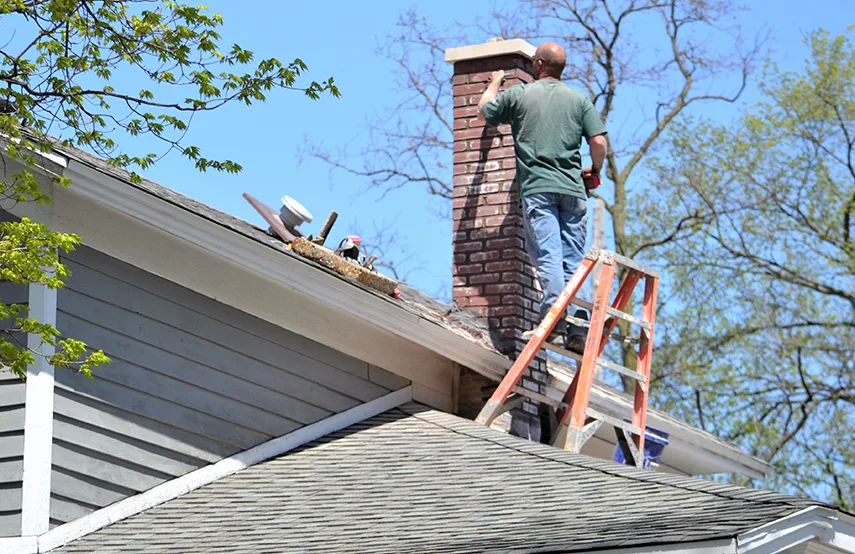 Chimney & Fireplace Inspections Services in Alice, TX